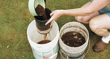 Jak nakrmit cibuli na jaře a v létě, aby byla velká?